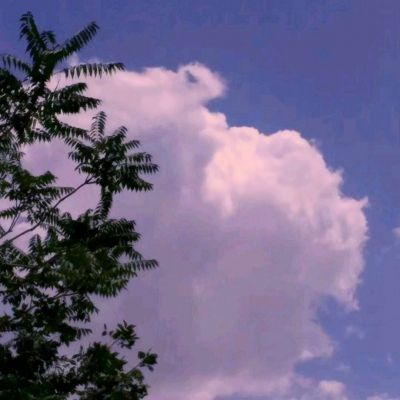 澳门黄金网站免费打开截图